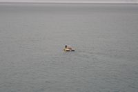 
DSC00105